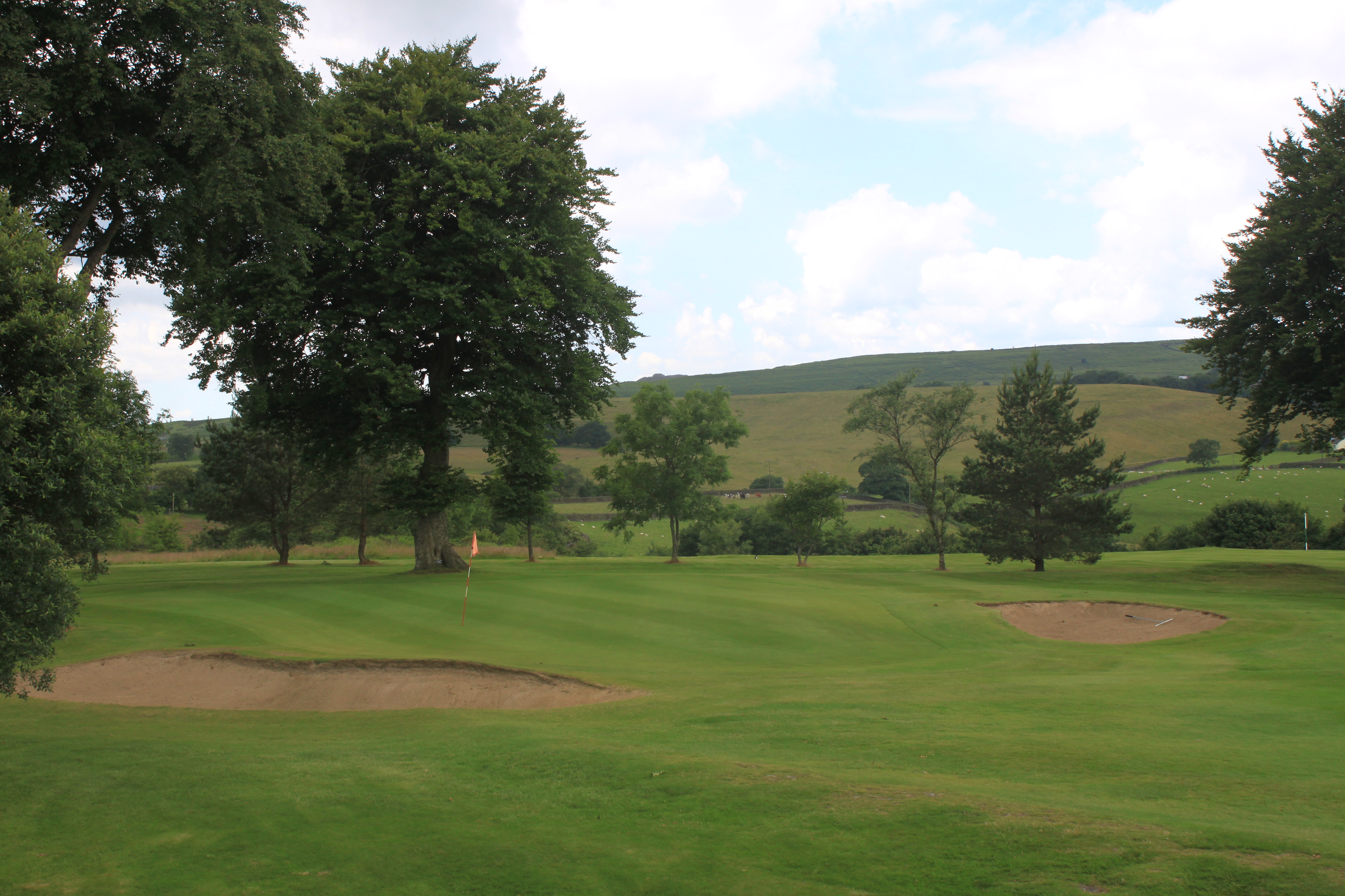 Golf course fairway with bunker and trees